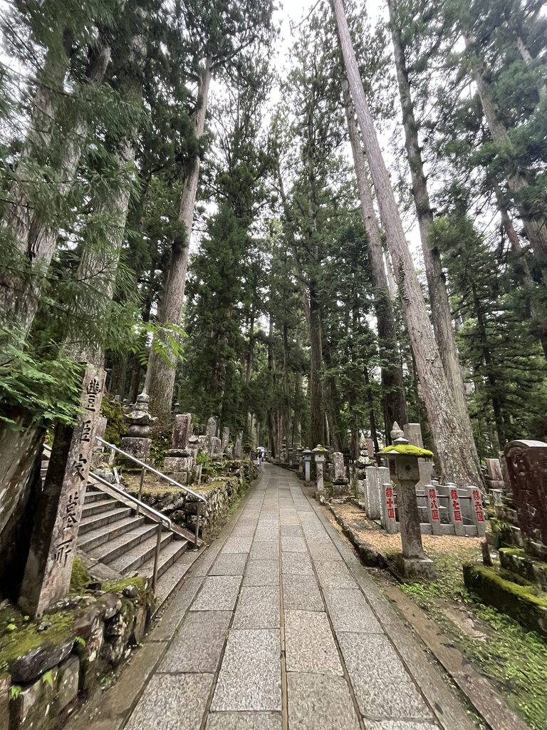 奥の院の参道脇に並ぶ、区画番号が赤字で記された石柱